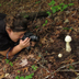 Christine photgraphing an Amanita